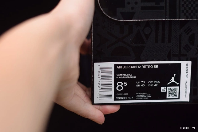 Chep Onekick Air Jordan 12 130690-107 (2019) Retro 